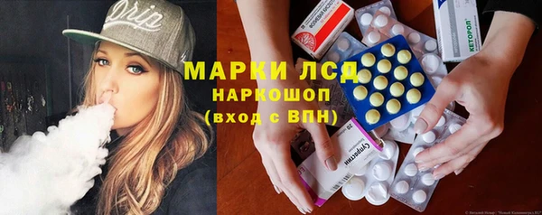 мяу мяу мука Аркадак