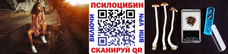 Псилоцибиновые грибы GOLDEN TEACHER  Купить  Верхнеуральск 